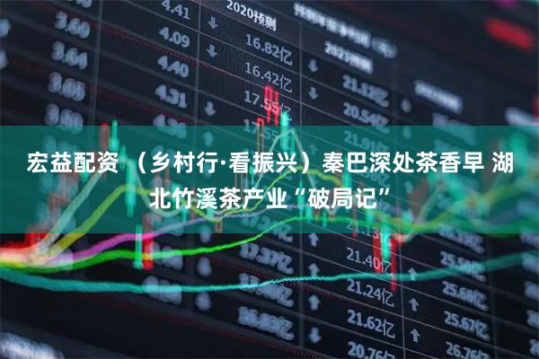 宏益配资 （乡村行·看振兴）秦巴深处茶香早 湖北竹溪茶产业“破局记”
