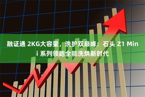 融证通 2KG大容量，洗护双巅峰：石头 Z1 Mini 系列领跑全能洗烘新时代